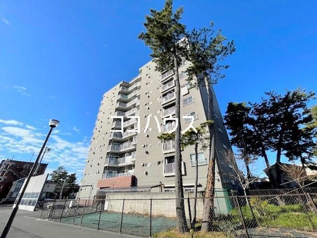 市川すがの(1LDK/1階)
