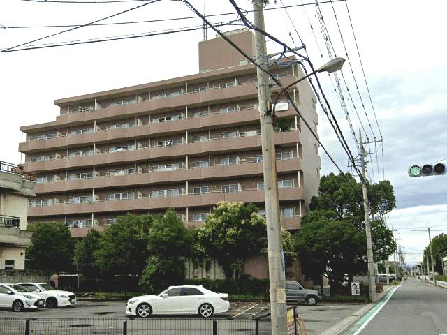 アモ末広(2LDK/7階)