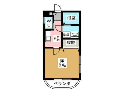 サルバス高松(1K/1階)の間取り写真