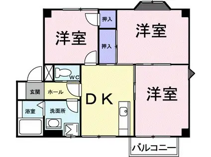 ネオ・シャトー(3DK/2階)の間取り写真