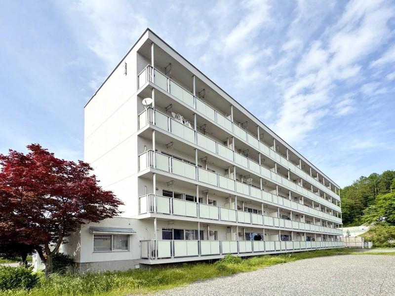 ビレッジハウス伊那福島1号棟(1LDK/1階)