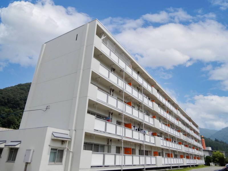 ビレッジハウス正田1号棟(3DK/1階)