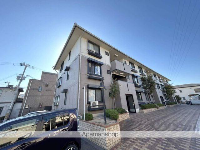 ハイカムール21