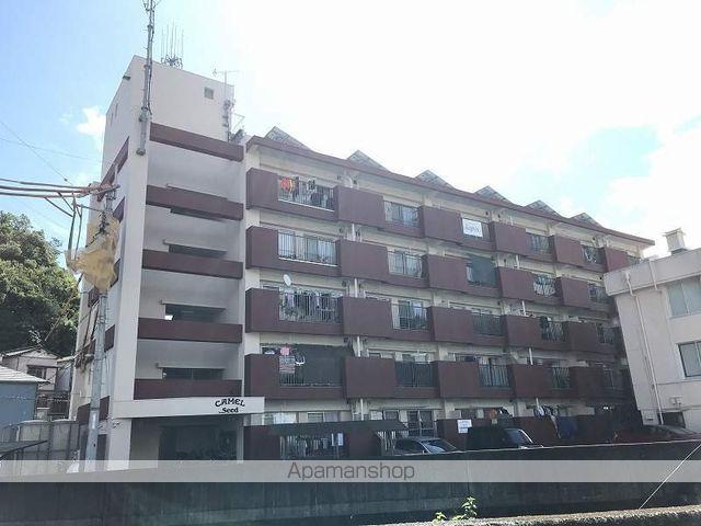 キャメル・シード