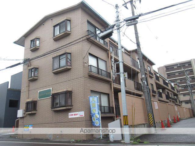 アカデメイアおたまや