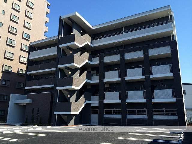 ヴィオラ N
