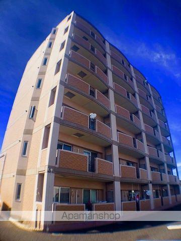 プリムローズ・J