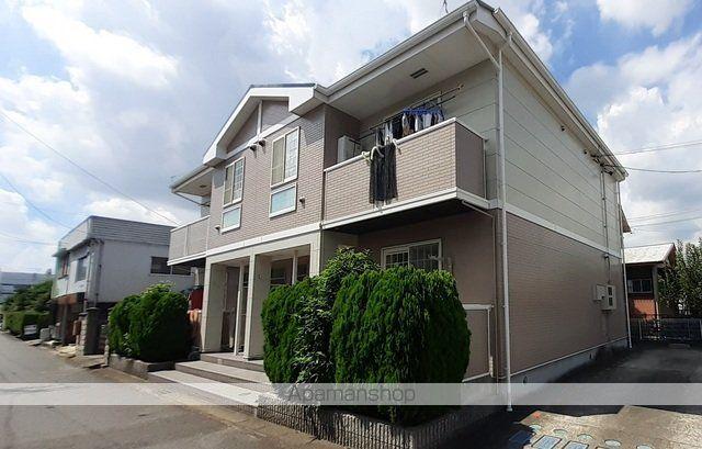 エヴァーグリーン