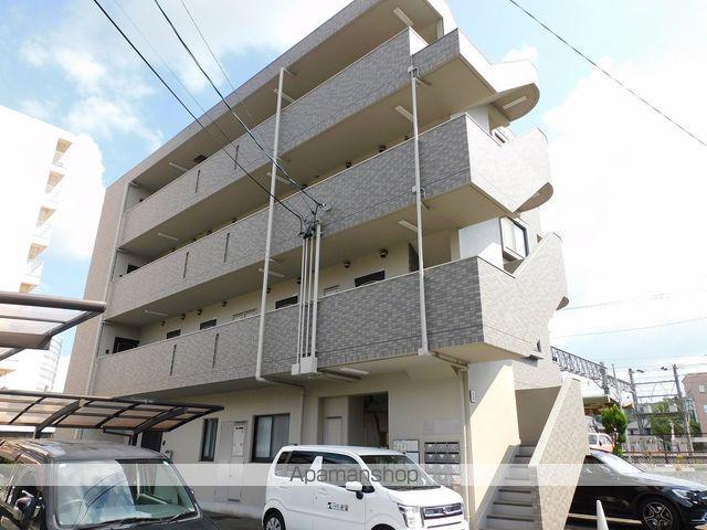 コスモス・シシェール