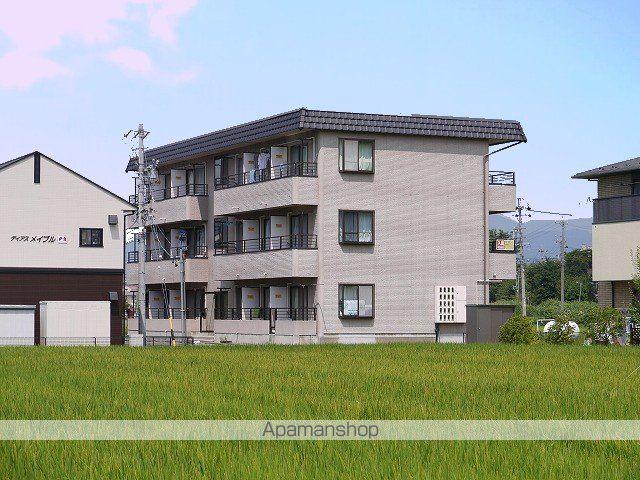 ビューホワイトフォックス