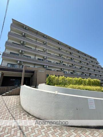 ピュアドミトリーシミズ