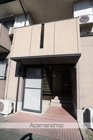 ハイカムールジャスミンB