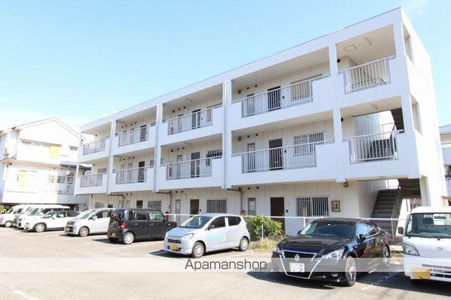 マリッチ溝渕Ⅱ