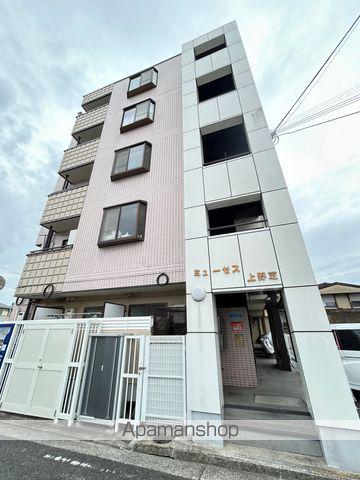 ミューゼス上野芝