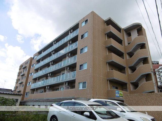 ディアグレイス五輪