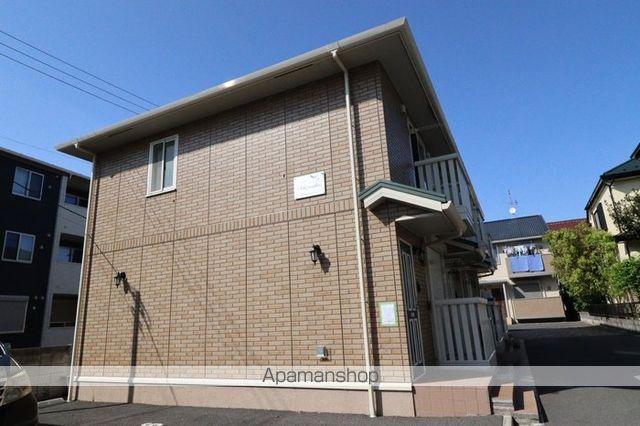 シザンサス・エアナスエアナス