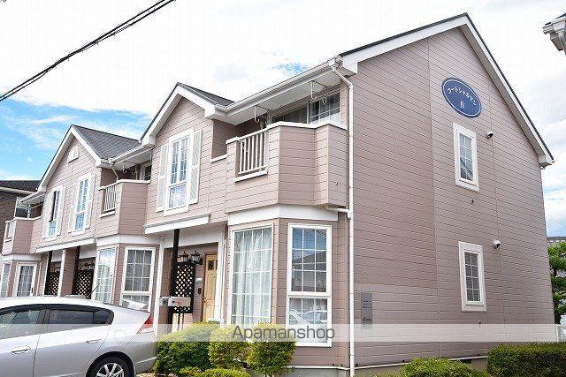 コートシャルマンⅣ