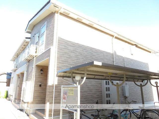 メリーアドニス B