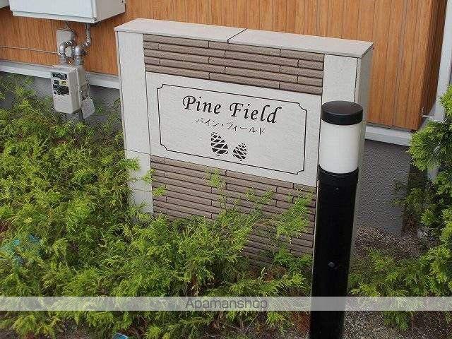 パイン・フィールド