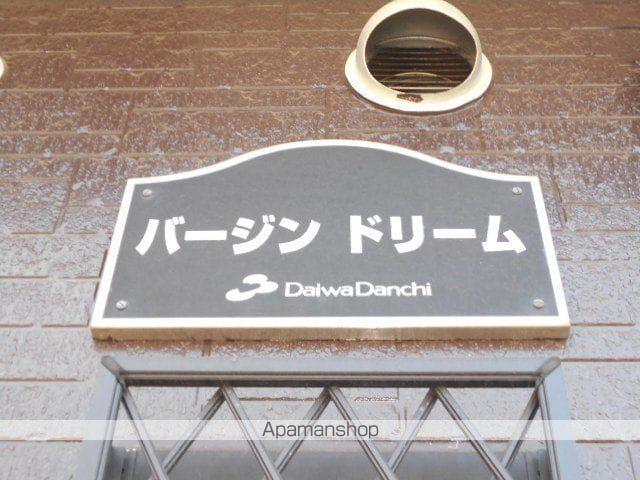 バージンドリーム
