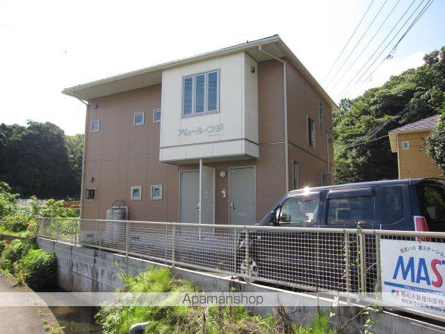 アムールフジ