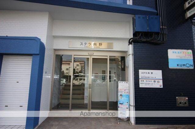 ステラ向野