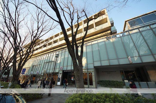 表参道ヒルズゼルコバテラス