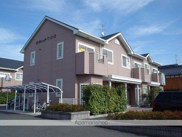 ヴィオレッテT・U-D