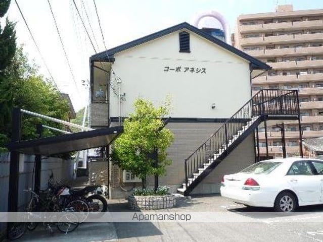 コーポアネシス