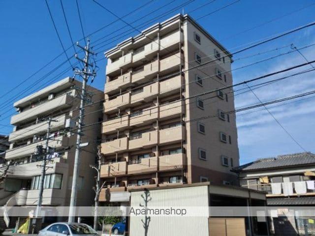 ファレノプシス