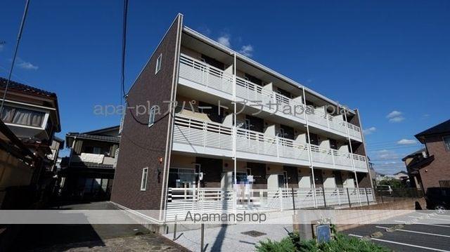 レオネクストモーントシャイン