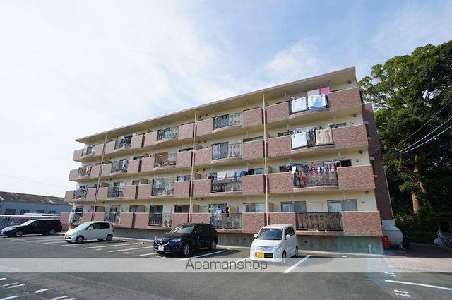 クリスタル・フォレスト