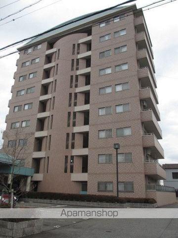 グレイスシラカワ