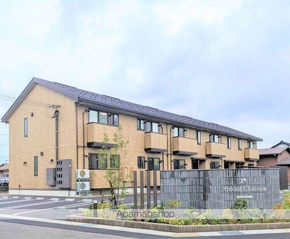 アムール シェノン