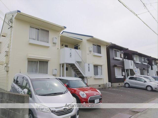 カンファーツリービュー