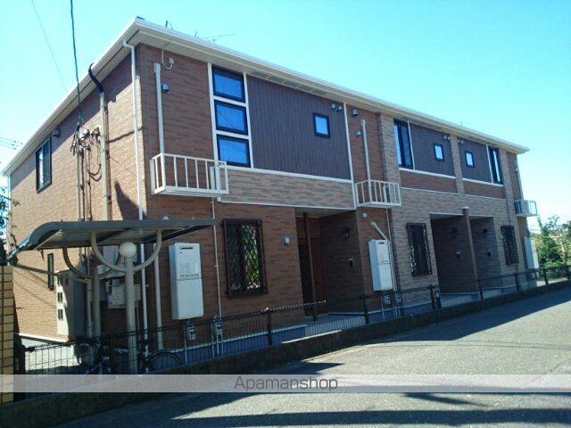 ウォール ナット グローブ