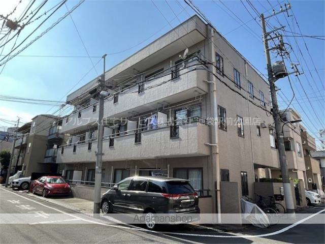 ザ・ゴールデンラビット