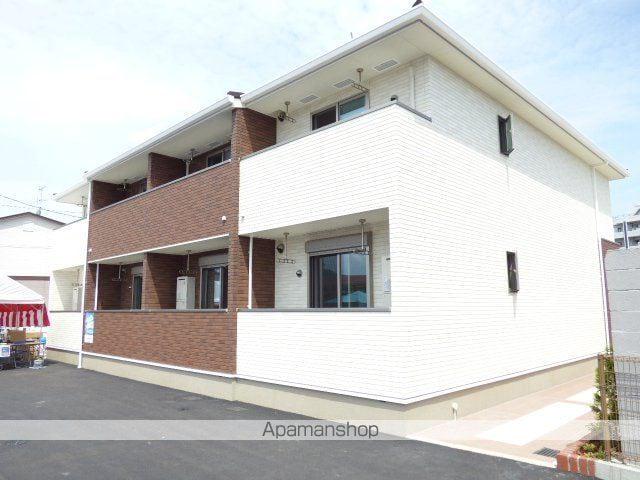 サウス・バイオレット