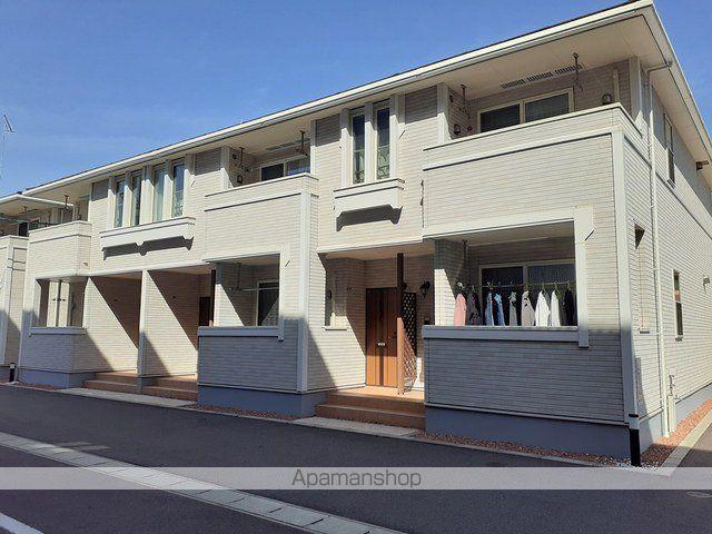 スプリング セブン B