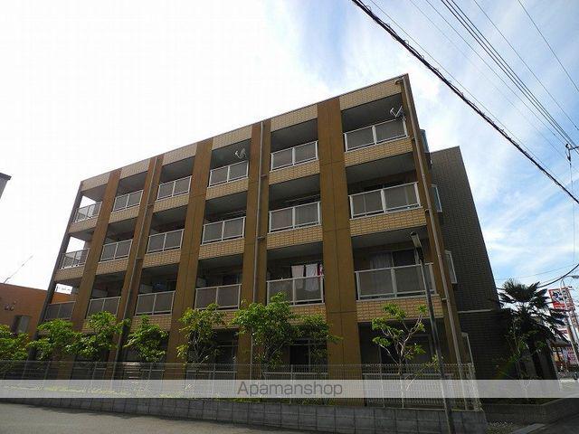 アンプルールフェールCOCO