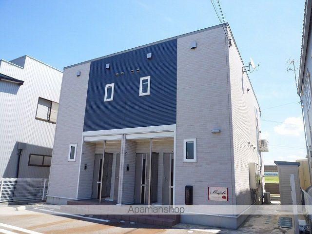 メープル