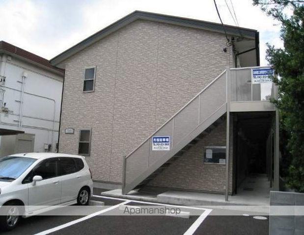 アムールピジョン