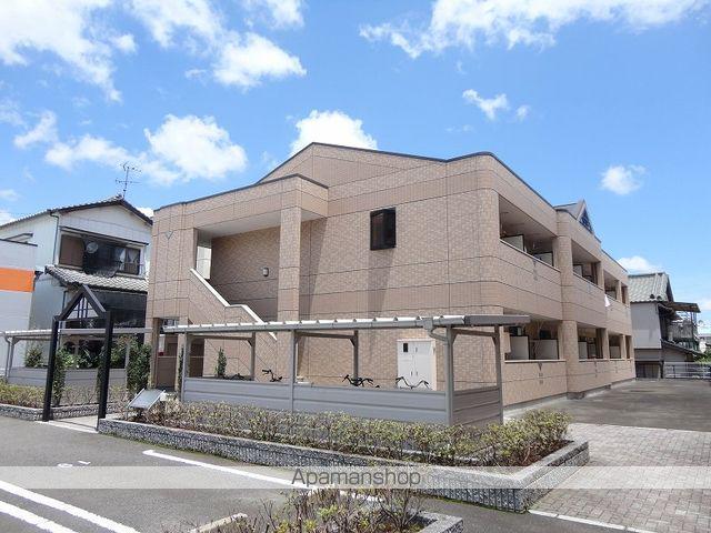 ピュアフェリシス