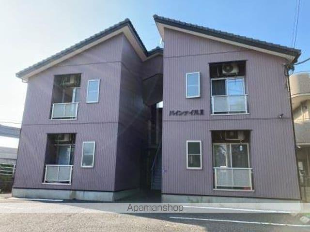 パインテイル Ⅱ