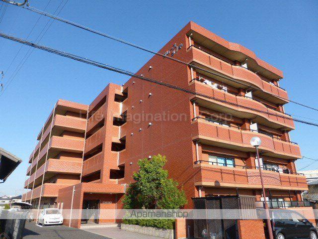 グレースシノキ