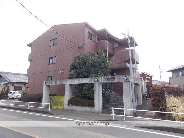 ネスパルド江南