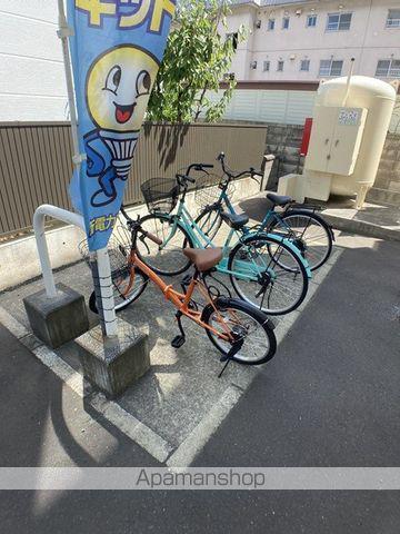 セントポーリアブライト