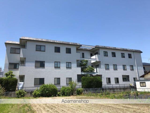 ピュアフラット12