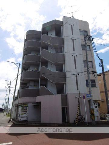 ハイコート白萩