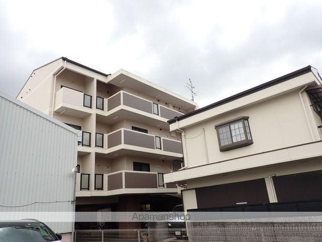 シャルマン錦